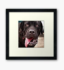 You Don’t Say! Framed Print