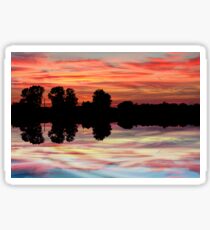 Another OMG sunset Sticker