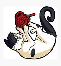 Tybalt's Yarn Photographic Print