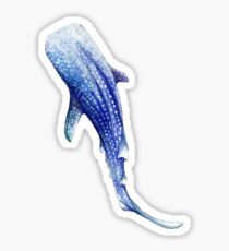 Whale Shark Sticker