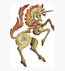 Heraldic unicorn Photographic Print