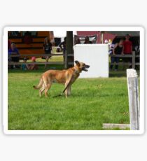 police dog Sticker