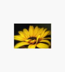 Goldilocks Art Board