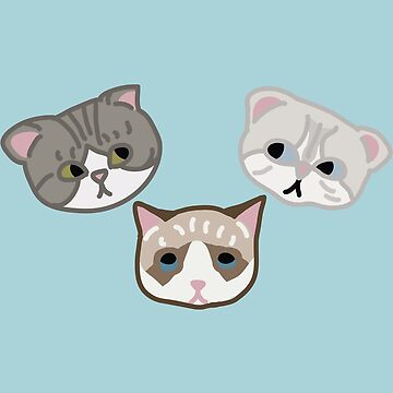 Different Taylor Swift Era Stickers – The Sassy Cats Co