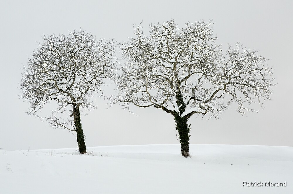 Two trees in the snow by Patrick Morand