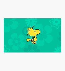 Woodstock Photographic Print
