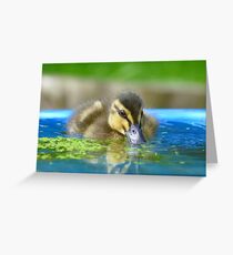 Daffy Duck Loving Life - NZ Greeting Card