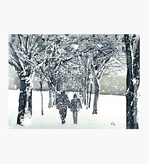 Meadows Snow Photographic Print
