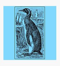 Vintage Penguin Art on Blue Photographic Print