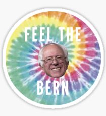 bernie sanders Sticker
