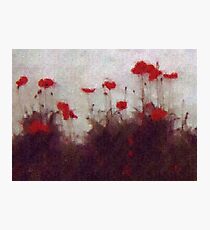 Painted Poppies Photographic Print