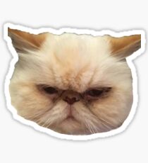 ABBA the cat Sticker