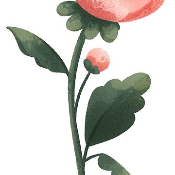 Artwork thumbnail, Peony by Sandramartins