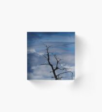Branch Manager Acrylic Block