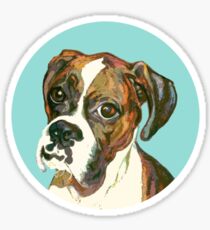 Boxer Eyes ~ Circle Sticker