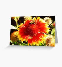 Nectar Greeting Card