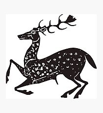 Rhodes Cerf - Rhodes Deer Art Photographic Print