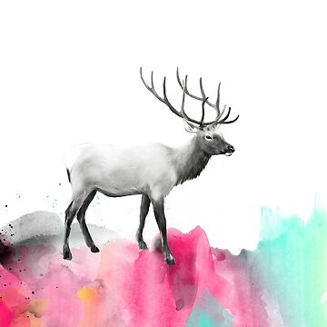 Artwork thumbnail, Wild No.2 // Elk by AmyHamilton