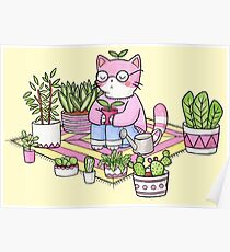 Póster Meditación Cactus