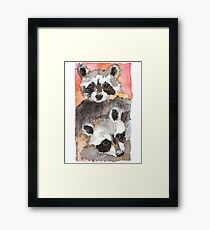 Two Coons Framed Print