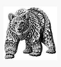 Lámina fotográfica Ornate Bear