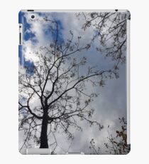 shadow iPad Case/Skin