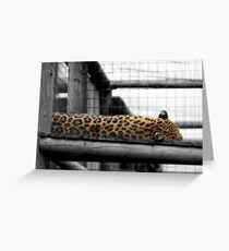 Boredom Greeting Card
