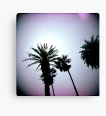 Holga Palms Canvas Print