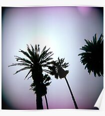 Holga Palms Poster