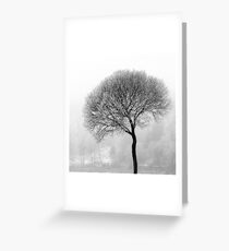 17.12.2016: Leafless Tree in Winter Fog IV Greeting Card