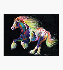 Trail Of Hearts Pony Photographic Print