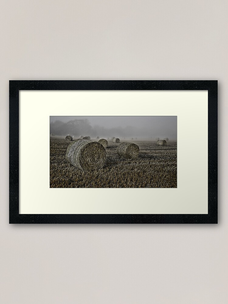 Alternate view of Misty Morning Framed Art Print