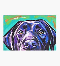 Labrador Retriever Dog Bright colorful pop dog art Photographic Print
