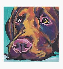 Chocolate Labrador Retriever Dog Bright colorful pop dog art Photographic Print