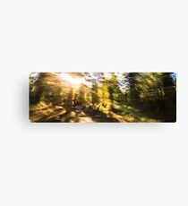High In The Magical Forest Canvas Print
