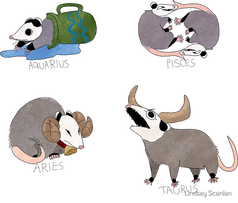 Blood Orange Margarita Cocktail Recipe with Fresh Blood