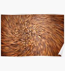 Autumn Blur Poster