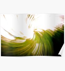 Zoom into the Trees II Poster