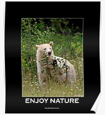 Enjoy Nature Spirit Bear Motivational Poster Poster