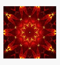 Autumn Starlight Photographic Print