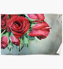 Romantic Red Roses Poster