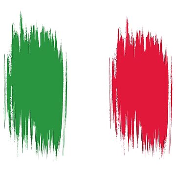 Drapeau Italien. Logo Coloré Du Drapeau Italien. Coups De Pinceau