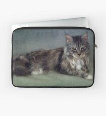 Maine Coon Laptop Sleeve