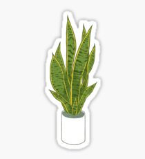 Sansevieria Trifasciata / Snake Plant (white) Sticker