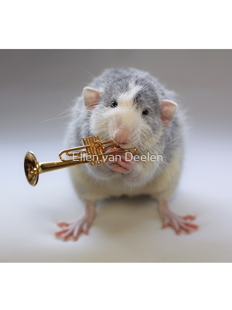 The trumpet :) by Ellen