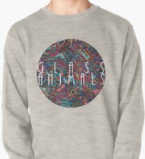 Glass Animals Pullover
