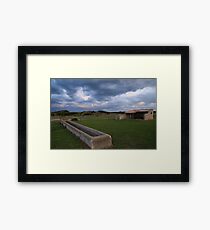 Old Basham's Beach Cow Shed Framed Print