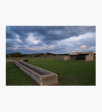 Old Basham's Beach Cow Shed Photographic Print