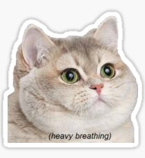 cat Sticker
