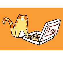 orange tabby kitten picture with pizza
